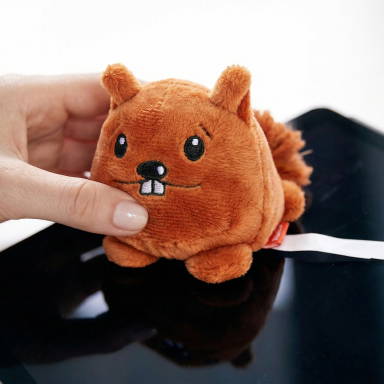 Schmoozies® Squirrel