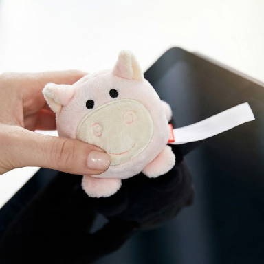 Schmoozies® Pig