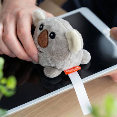 Schmoozies® Koala