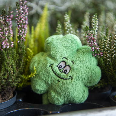 Schmoozies® Cloverleaf