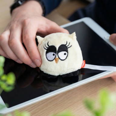 Schmoozies® Owl