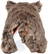 Plush wild boar Nicolo