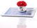 Schmoozies® Toadstool