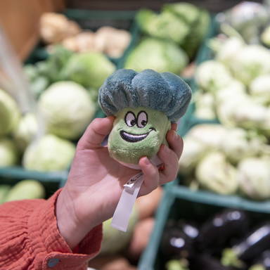 Schmoozies® Broccoli
