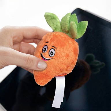 Schmoozies® Carrot