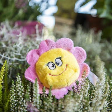 Schmoozies® Flower