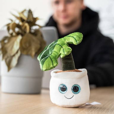 Schmoozies® Evergreenies® Monstera