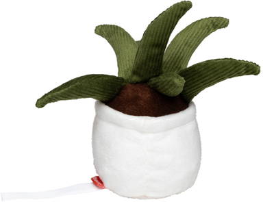 Schmoozies® Evergreenies® Aloe Vera