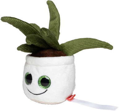 Schmoozies® Evergreenies® Aloe Vera