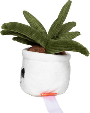 Schmoozies® Evergreenies® Aloe Vera