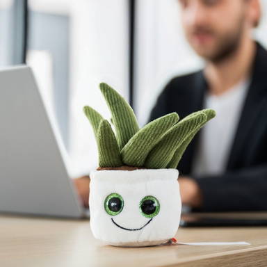Schmoozies® Evergreenies® Aloe Vera