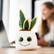 Schmoozies® Evergreenies® Snake Plant