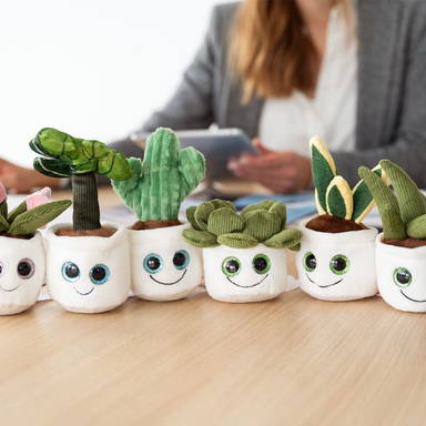 Schmoozies® Evergreenies® Snake Plant