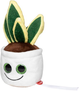 Schmoozies® Evergreenies® Snake Plant