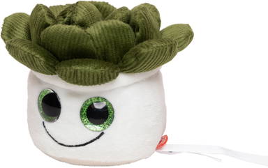 Schmoozies® Evergreenies® Succulent