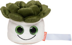 Schmoozies® Evergreenies® Succulent