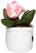 Schmoozies® Evergreenies® Tulip