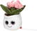 Schmoozies® Evergreenies® Tulip