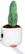 Schmoozies® Evergreenies® Cactus