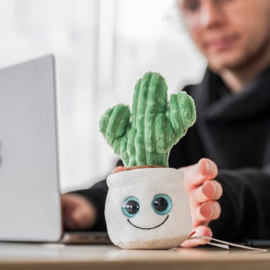 Schmoozies® Evergreenies® Cactus
