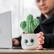 Schmoozies® Evergreenies® Cactus