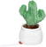 Schmoozies® Evergreenies® Cactus