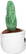 Schmoozies® Evergreenies® Cactus