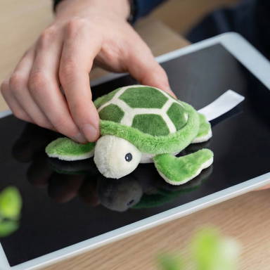 Schmoozies® turtle