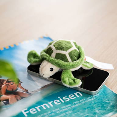 Schmoozies® turtle