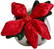 Schmoozies® Evergreenies® Christmas flower