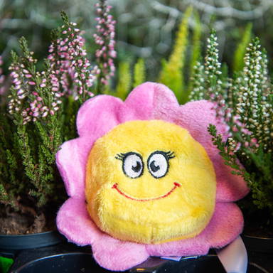 Schmoozies® Flower with slogan