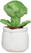 Schmoozies® Evergreenies® Venus Flytrap