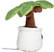 Schmoozies® Evergreenies® Palm Tree