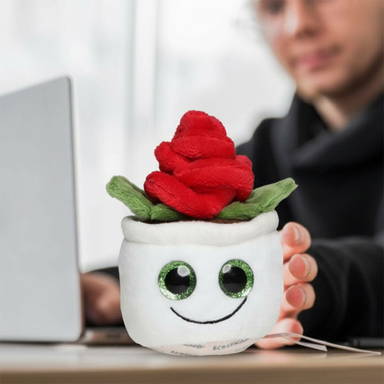 Schmoozies® Evergreenies® Rose