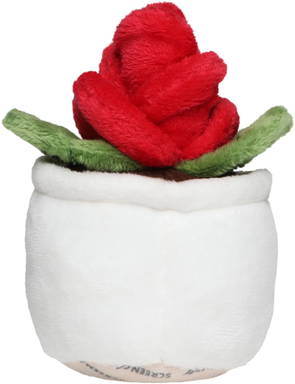 Schmoozies® Evergreenies® Rose