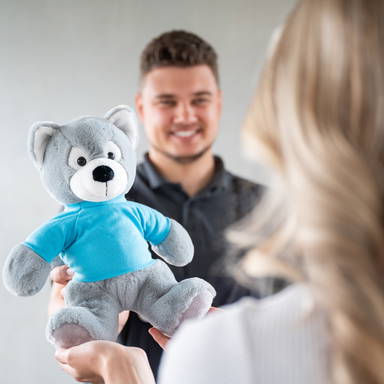 Plush husky Jona 26 cm - Gray