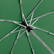 Fare Mini Pocket opvouwbare paraplu 5460 - Bottle green