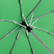 Fare Mini Pocket opvouwbare paraplu 5460 - Light green