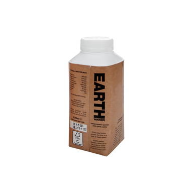 EARTH Water Tetra Pak 330 ml