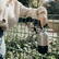 Noma Noma Recycled Steel Insulated Bottle 750 ml thermosfles