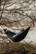 Nordic Drift GRS Trail outdoor hangmat