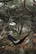 Nordic Drift GRS Trail outdoor hangmat