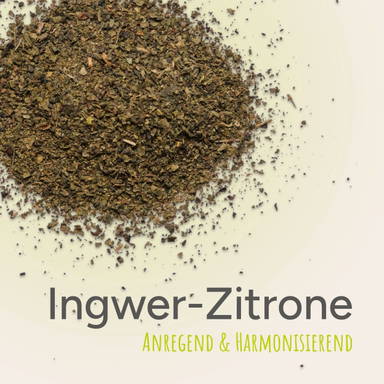 Theestick voor 1 kop thee - Groene thee gember-citroen