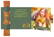Theestick voor 1 kop thee met kaart - Teaflyer clapcard