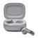 JBL Live Flex 3 draadloze oordopjes - Zilver