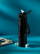 AquaSteel RCS Recycled Water Bottle 750 ml drinkfles