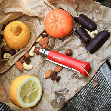 Opinel Colorama No 08 zakmes in een  riemetui