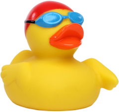 Zwemmer badeend