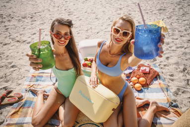Polarbox Original Medium 12L Vintage Coolerbox