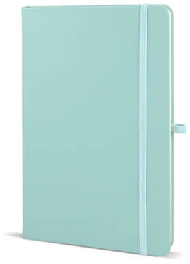 A5 notitieboekje met penlus - Mint